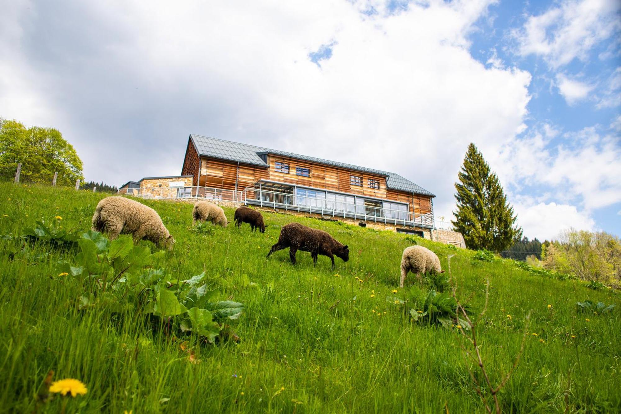Amenity Hotel & Resort Špindlerŭv Mlýn Ngoại thất bức ảnh
